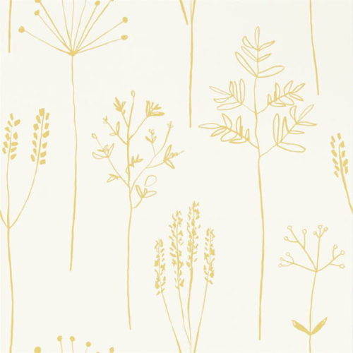 Stipa 112021